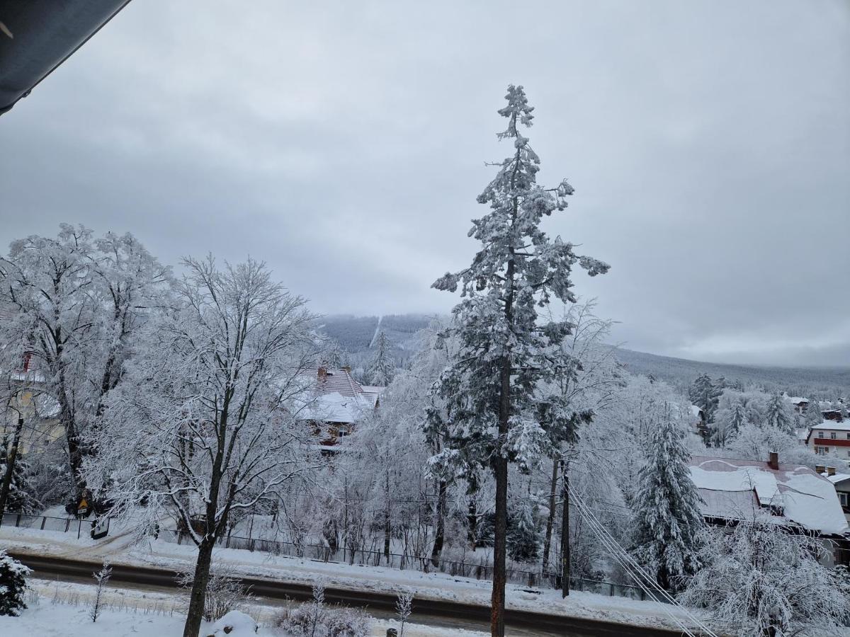Apartament Gorska Panorama シクラルスカ・ポレンバ エクステリア 写真