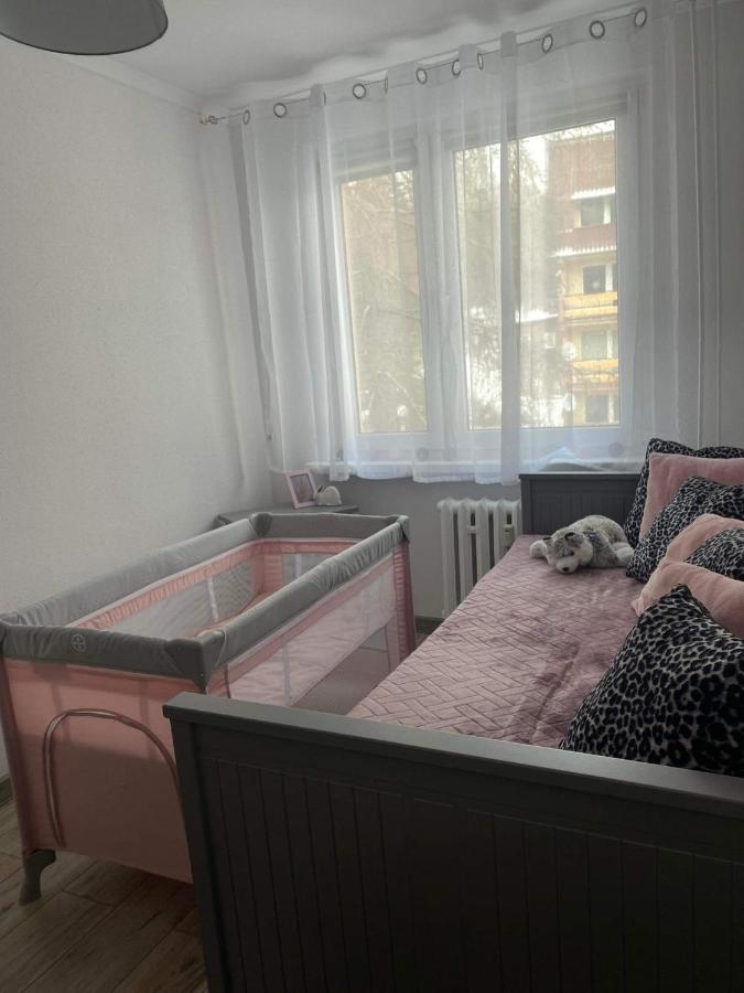 Apartament Gorska Panorama シクラルスカ・ポレンバ エクステリア 写真
