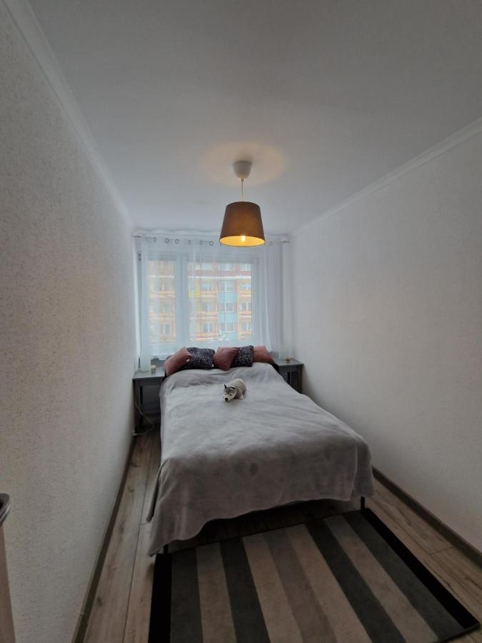 Apartament Gorska Panorama シクラルスカ・ポレンバ エクステリア 写真
